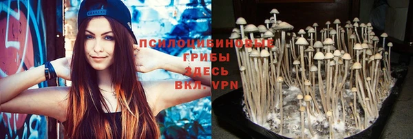 прущая мука Абаза