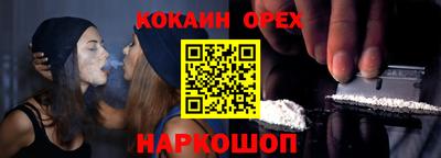 прущие грибы Новозыбков