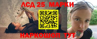 прущие грибы Новозыбков