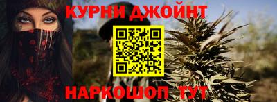 прущие грибы Новозыбков