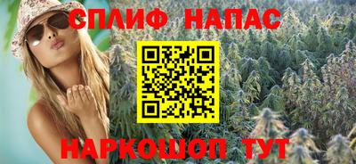 прущие грибы Новозыбков