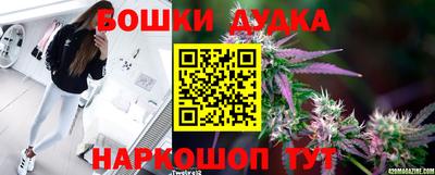прущие грибы Новозыбков