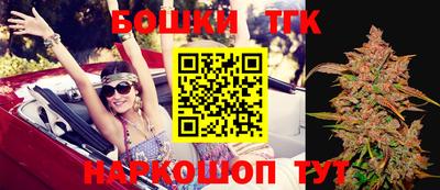 прущие грибы Новозыбков