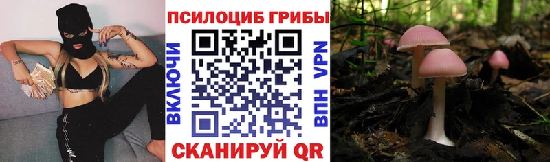 Псилоцибиновые грибы Psilocybine cubensis  купить закладку  Вичуга 