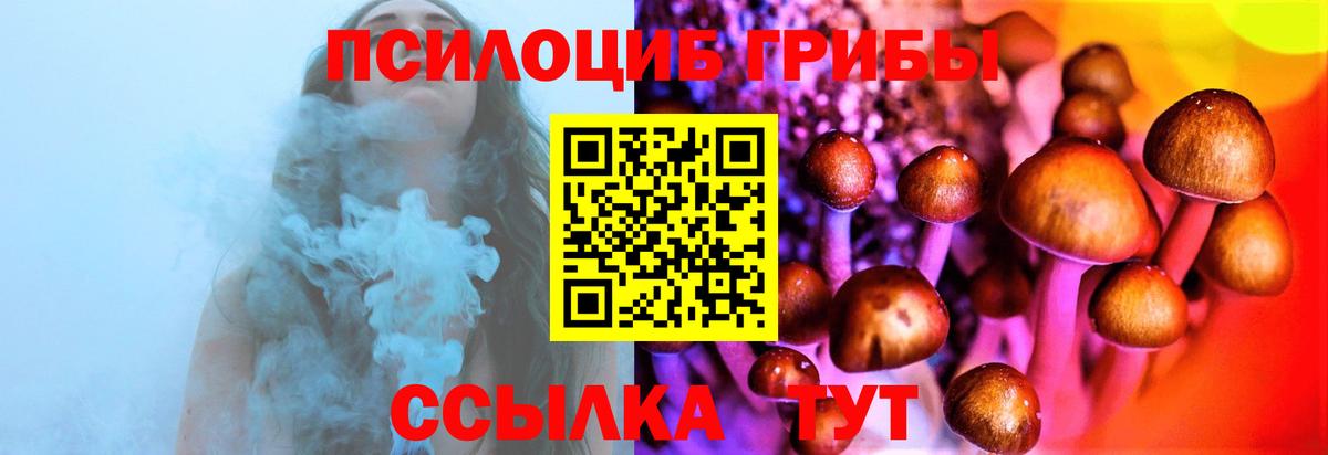 Галлюциногенные грибы Psilocybine cubensis Вичуга