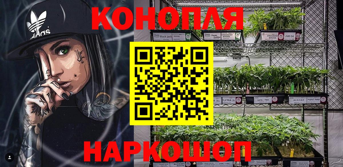 Бошки Шишки сатива Вичуга